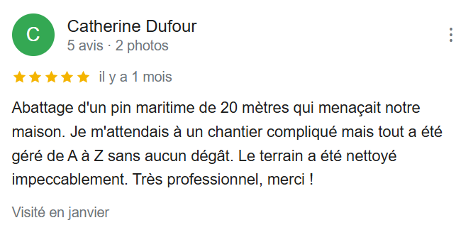 Avis Google - Catherine Dufour
